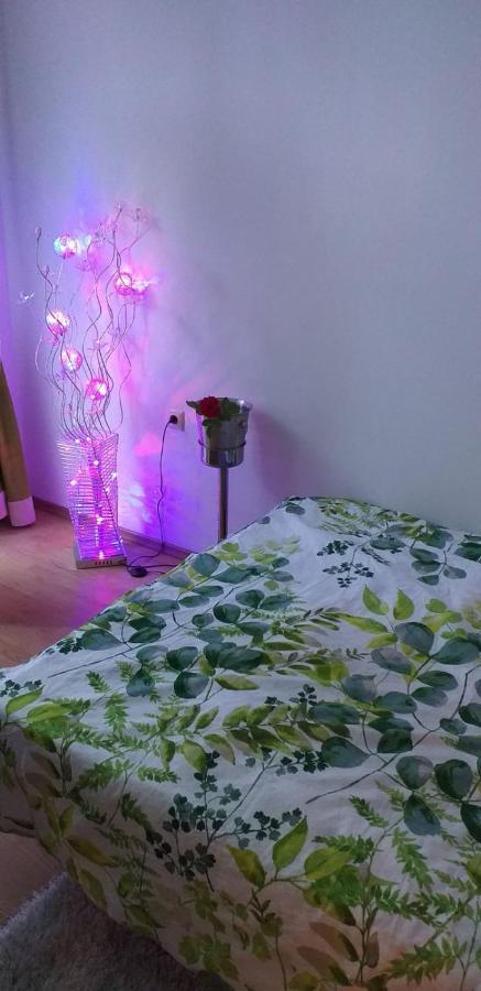Aphrodite Rose 써니비치 외부 사진